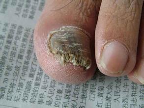 �����w��Ƥ�w������