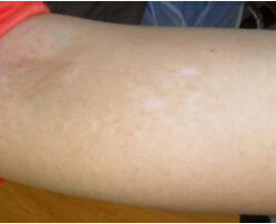 �����ί�����L�tԺ