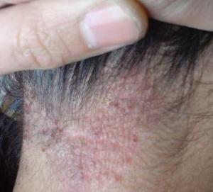 �����w��Ƥ�w������