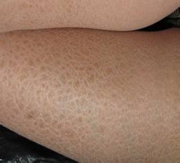 �����w��Ƥ�w������