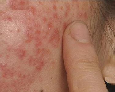 �����w��Ƥ�w������