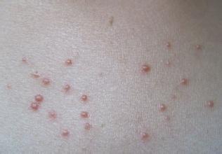 �����w��Ƥ�w������