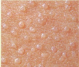 �����w��Ƥ�w������