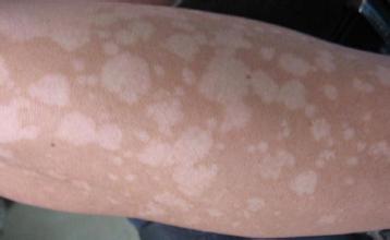 �����w��Ƥ�w������