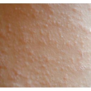 �����w��Ƥ�w������