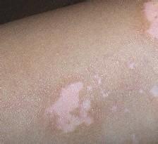 �����w��Ƥ�w������